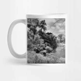 Mallard Lake, Golden Gate Park, San Francisco Mug